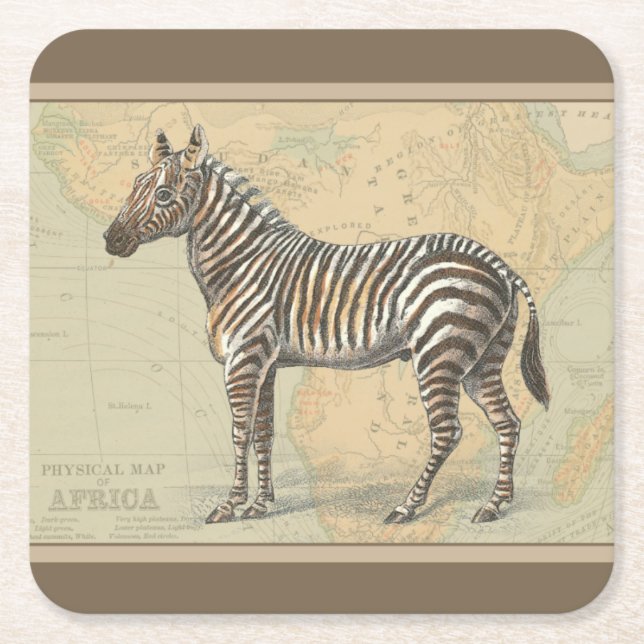 Porta-copo De Papel Quadrado Mapa africano e zebra (Frente)