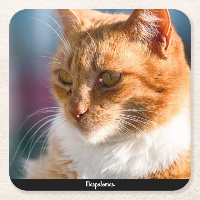 Porta-copo De Papel Quadrado Maspalomas Cat (Frente)