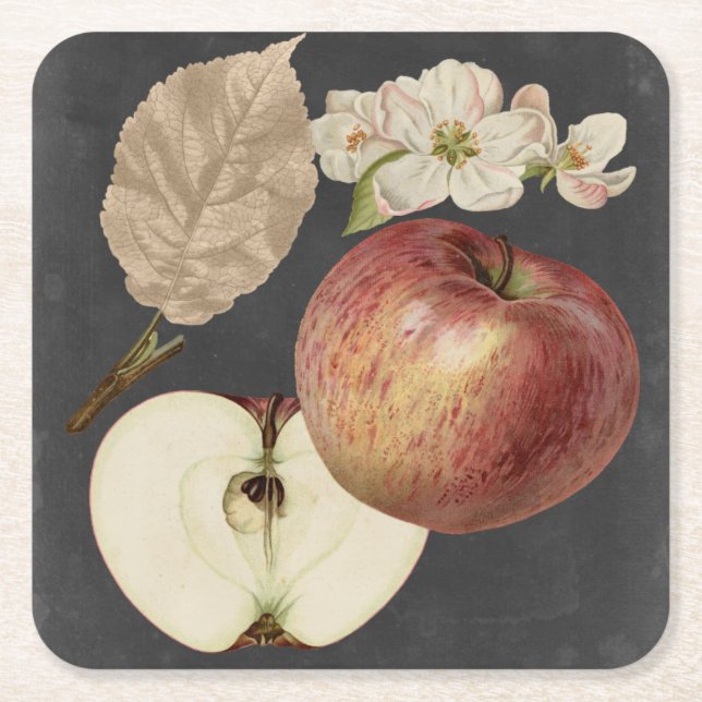 Porta-copo De Papel Quadrado Midnight Harvest II (Frente)