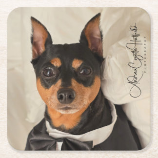 Porta-copo De Papel Quadrado MinPin Tux