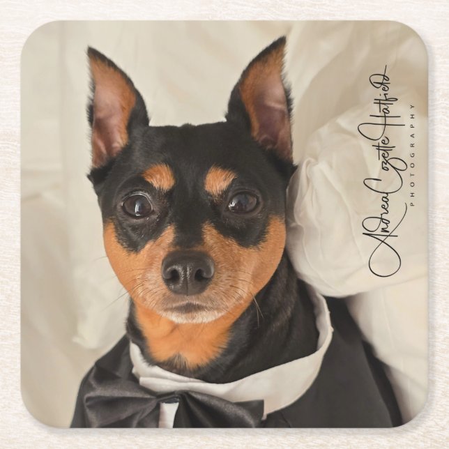 Porta-copo De Papel Quadrado MinPin Tux (Frente)