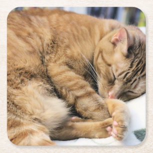 Porta-copo De Papel Quadrado Mischievous interrompido