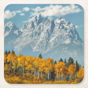 Porta-copo De Papel Quadrado Montanhas grandes de Teton na queda