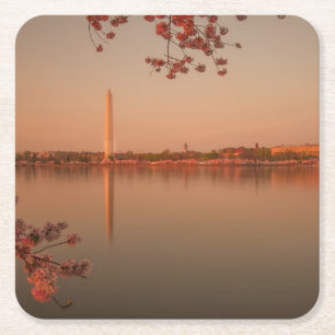 Porta-copo De Papel Quadrado Monumento de Washington Sakura no por do sol