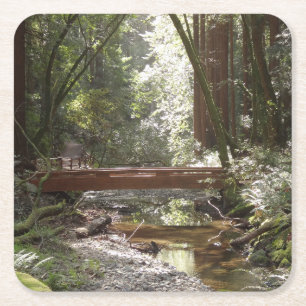 Porta-copo De Papel Quadrado Muir Woods Ponte II