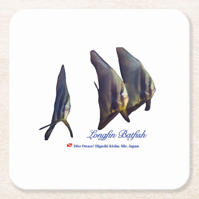 Porta-copo De Papel Quadrado O Batalhão de Longfin Cute (Frente)