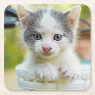 Porta-copo De Papel Quadrado O gatinho monta uma bicicleta