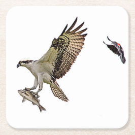 Porta-copo De Papel Quadrado O Osprey que está sendo perseguido por um vermelho