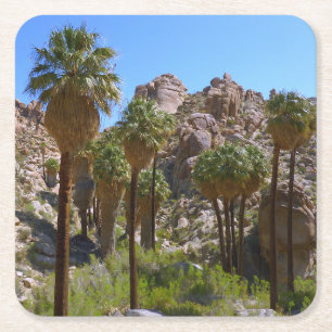 Porta-copo De Papel Quadrado Oásis Lost Palms I no Parque Nacional Joshua Tree