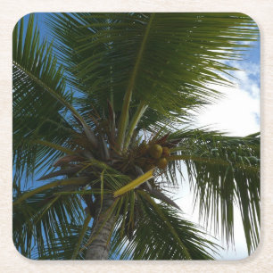 Porta-copo De Papel Quadrado Olhando para a natureza tropical da árvore de palm