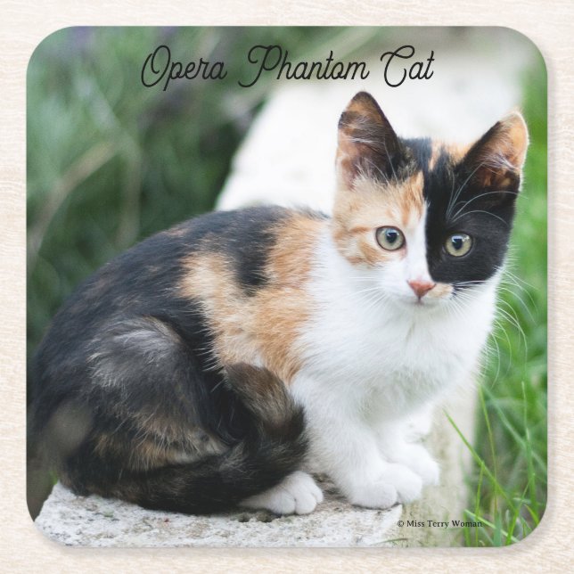 Porta-copo De Papel Quadrado Ópera - Fantasma (Frente)