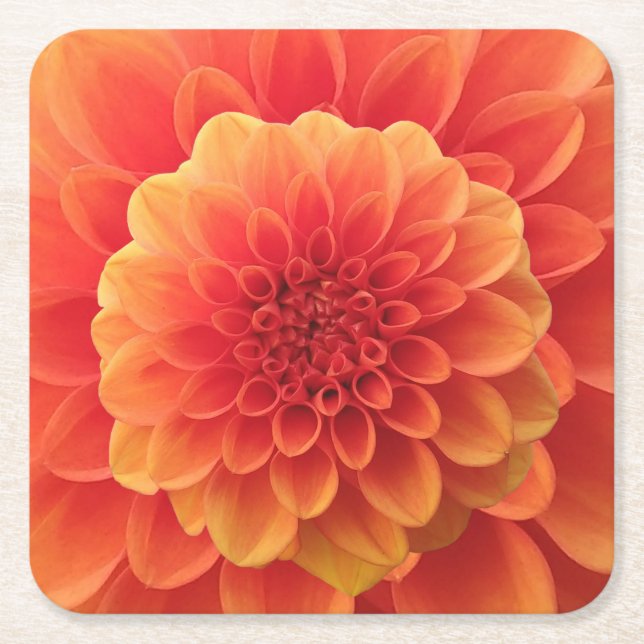 Porta-copo De Papel Quadrado Orange Dahlia (Frente)