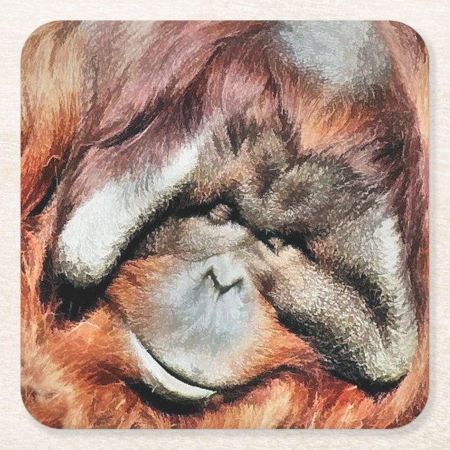 PORTA-COPO DE PAPEL QUADRADO ORANGUTANOS (Frente)