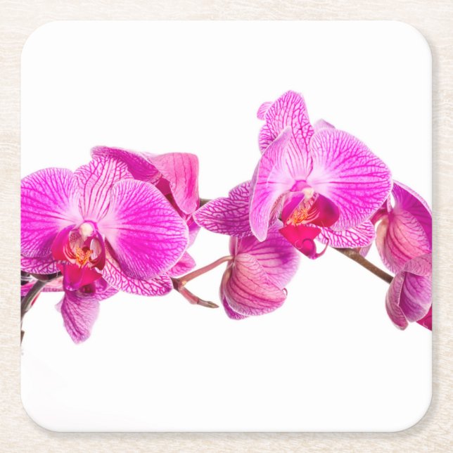 Porta-copo De Papel Quadrado Orquídea (Frente)