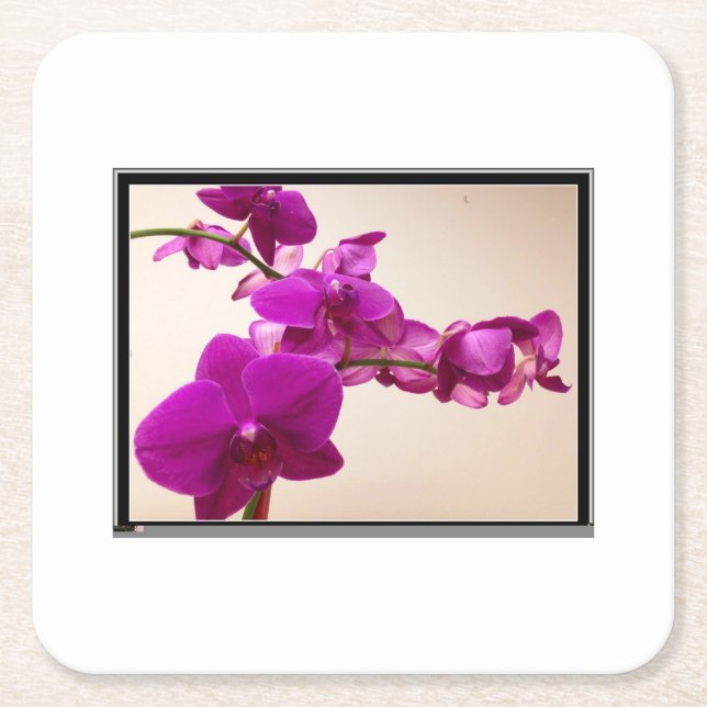Porta-copo De Papel Quadrado Orquídea rosa (Frente)