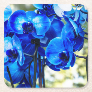 Porta-copo De Papel Quadrado Orquídeas azuis