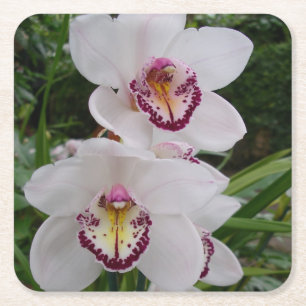 Porta-copo De Papel Quadrado Orquídeas Brancas Lindas Flores Tropicais