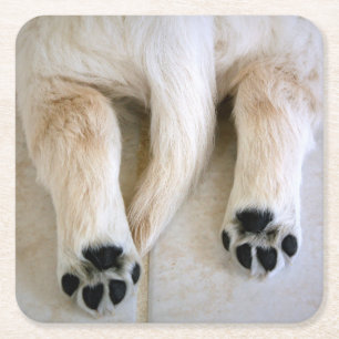 Porta-copo De Papel Quadrado Ouro Retriever Puppy Toes