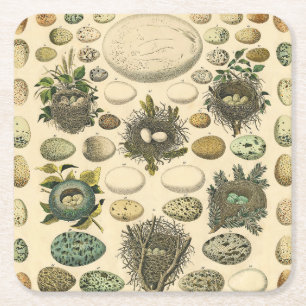 Porta-copo De Papel Quadrado Ovos De Pintura De Ninho De Aves Vintage