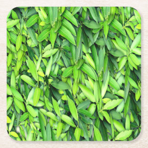 Porta-copo De Papel Quadrado Padrão de Folhas Verde Lush - Botânica da Natureza