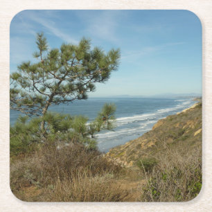 Porta-copo De Papel Quadrado Paisagem de Torrey Pine e Costa da Califórnia