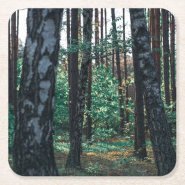 Porta-copo De Papel Quadrado Paisagem Natural Paisagem Floresta Árvores de Birc