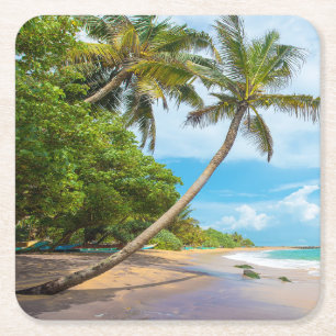 Porta-copo De Papel Quadrado Palma de coco, praia   Sri Lanka de Mirissa