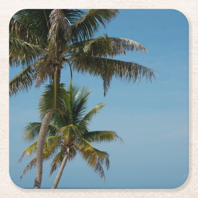 Porta-copo De Papel Quadrado Palmeira e praia de areia branca (Frente)