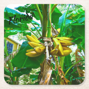Porta-copo De Papel Quadrado Palmeira tropical St Augustine Florida da banana
