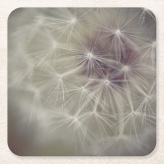 Porta-copo De Papel Quadrado Papel de Arte de Dandelion Sonhador Coaster 04