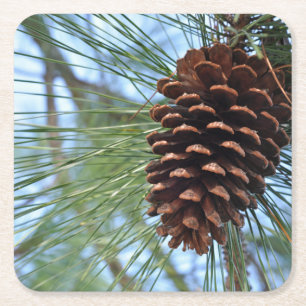 Porta-copo De Papel Quadrado Papel reutilizável Pine Cone