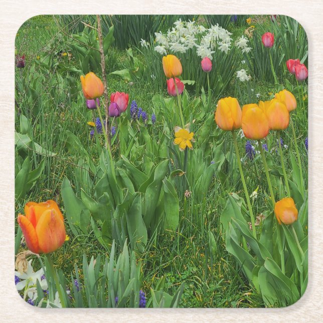 Porta-copo De Papel Quadrado Paper Coaster (Frente)