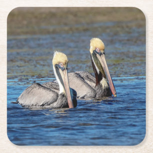 Porta-copo De Papel Quadrado Pares de pelicanos