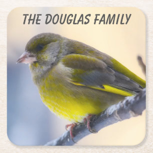 Porta-copo De Papel Quadrado Pássaro Selvagem de Fecho