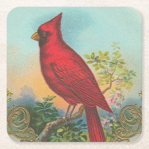 Porta-copo De Papel Quadrado Pássaro vermelho