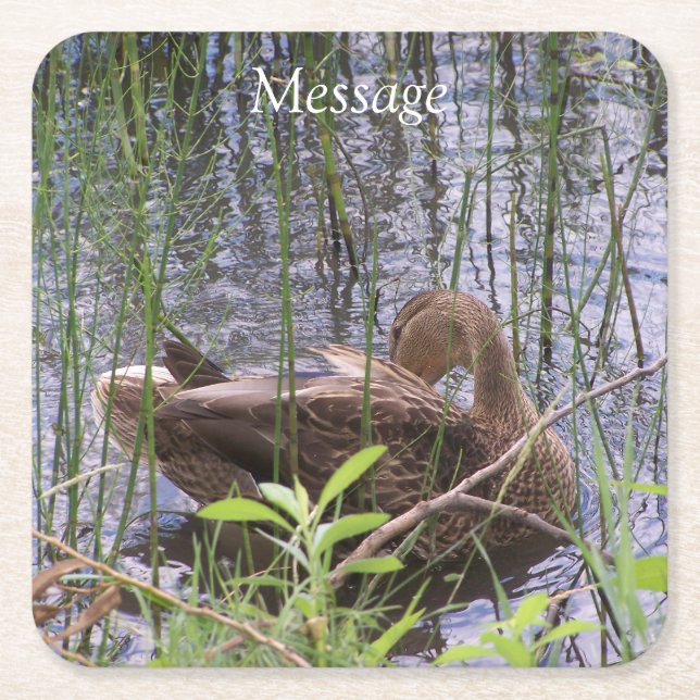 Porta-copo De Papel Quadrado Pato Preening nos Leeds (Frente)