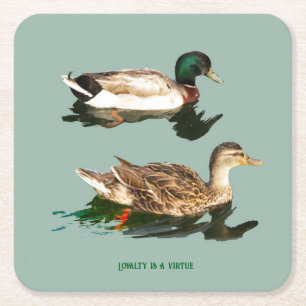 Porta-copo De Papel Quadrado Patos-de-pata