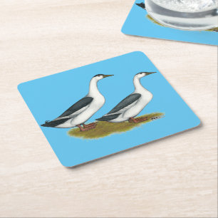 Porta-copo De Papel Quadrado Patos: Magpies azuis