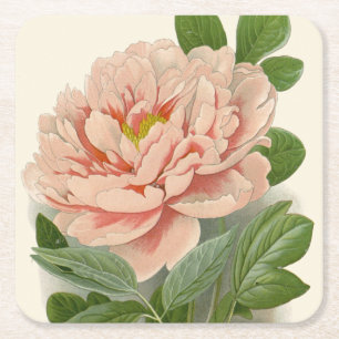 Porta-copo De Papel Quadrado Peônia Arbórea – Elegante Design Botânico Vintage