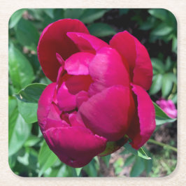 Porta-copo De Papel Quadrado Peony Paper Drink Porta copos