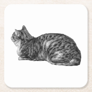 Porta-copo De Papel Quadrado Pequena Pausa, Tabby Poise