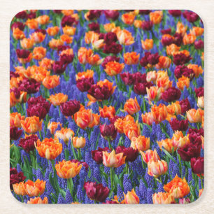 Porta-copo De Papel Quadrado Pêssego e Tulipas Vermelhas em Flores de Hidrócito