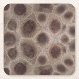 Porta-copo De Papel Quadrado Petoskey Stone Michigan State stone fóssil
