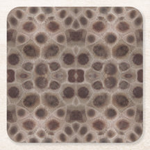 Petoskey Stone Michigan State stone fóssil