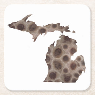 Porta-copo De Papel Quadrado Petoskey Stone Michigan State stone fóssil