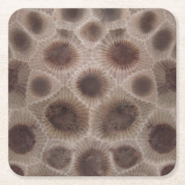 Porta-copo De Papel Quadrado Petoskey Stone Michigan State stone fóssil