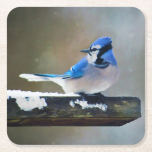 Porta-copo De Papel Quadrado Pintura Blue Jay - Arte Original para Pássaros