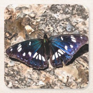 Porta-copo De Papel Quadrado Pintura da Borboleta Azul Almirante Branco do Sul