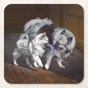 Porta-copo De Papel Quadrado Pintura em tempo de reprodução de Keeshond - Arte