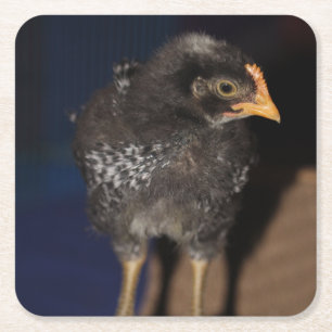 Porta-copo De Papel Quadrado Pista